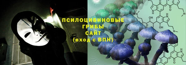 mdpv Каменка