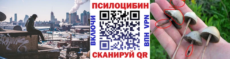 Купить Благодарный Галлюциногенные грибы мицелий